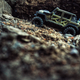 Illustration for article titled Its a Jeep thing